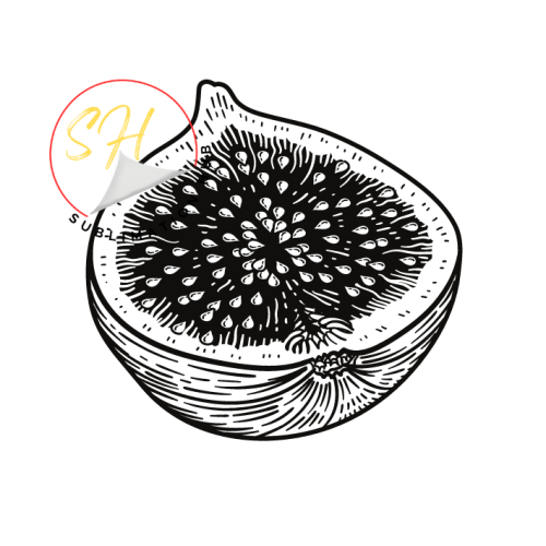 Fig3