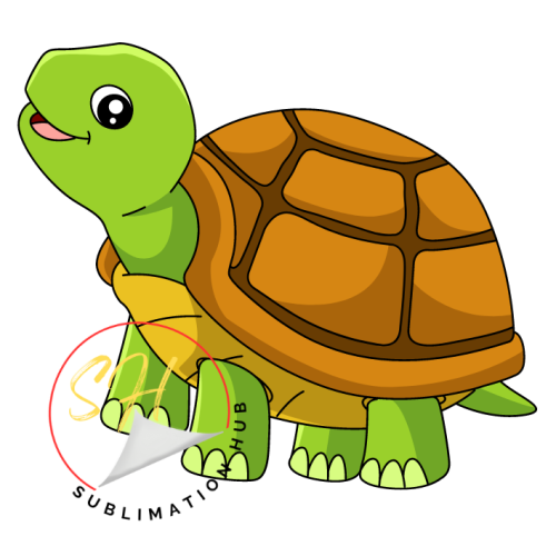 Tortoise